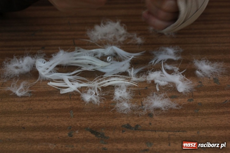 Zdjęcie w galerii na portalu naszraciborz.pl: Jak za starego pyrwe, czyli tradycyjne skubanie pierza w Borucinie wiadomości z regionu