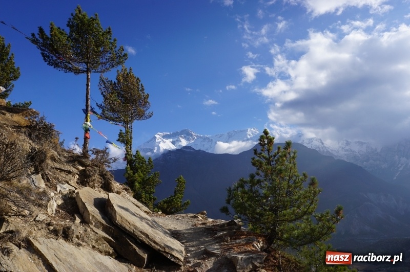 Zdjęcie w galerii na portalu naszraciborz.pl: Chulu Far East 6059 m n.p.m. oraz treking wokół Annapurny wiadomości z regionu