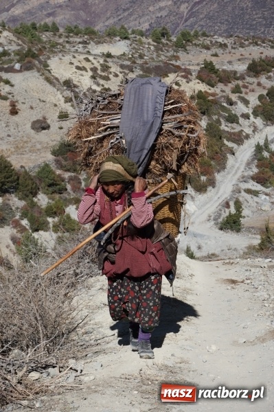 Zdjęcie w galerii na portalu naszraciborz.pl: Chulu Far East 6059 m n.p.m. oraz treking wokół Annapurny wiadomości z regionu