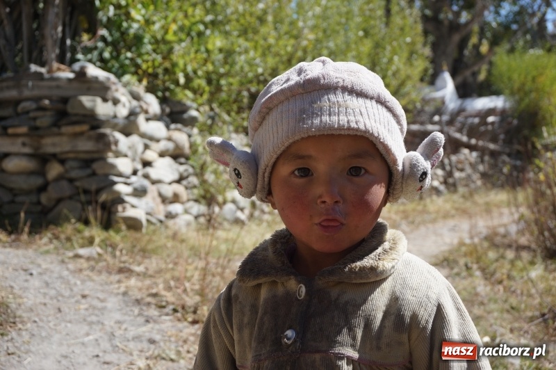 Zdjęcie w galerii na portalu naszraciborz.pl: Chulu Far East 6059 m n.p.m. oraz treking wokół Annapurny wiadomości z regionu