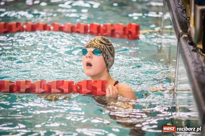 Zdjęcie w galerii na portalu naszraciborz.pl: Pływanie. Zimowe Mistrzostwa Juniorów 12-letnich w ZSOMS wiadomości z regionu