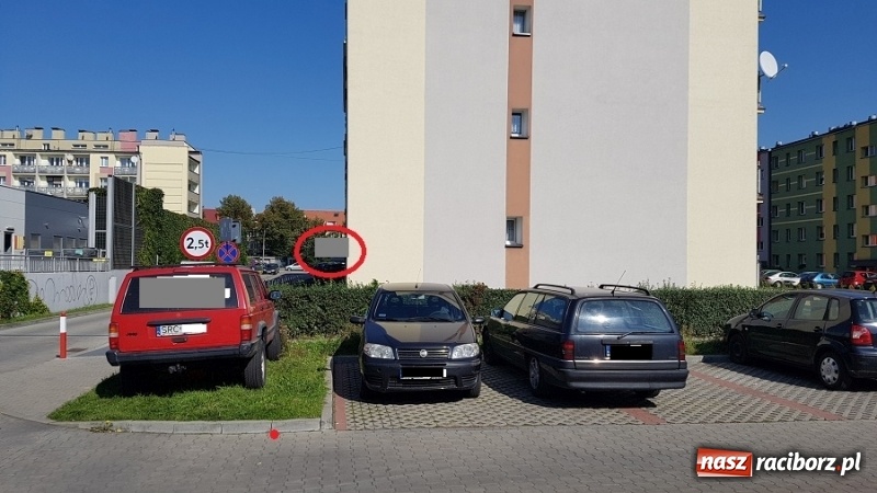 Zdjęcie w galerii na portalu naszraciborz.pl: Mistrzowie raciborskiego parkowania  wiadomości z regionu