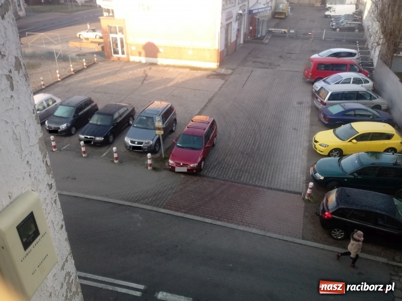 Zdjęcie w galerii na portalu naszraciborz.pl: Mistrzowie raciborskiego parkowania  wiadomości z regionu