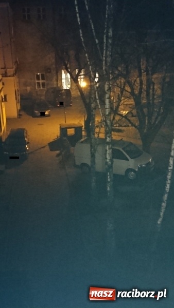 Zdjęcie w galerii na portalu naszraciborz.pl: Mistrzowie raciborskiego parkowania  wiadomości z regionu