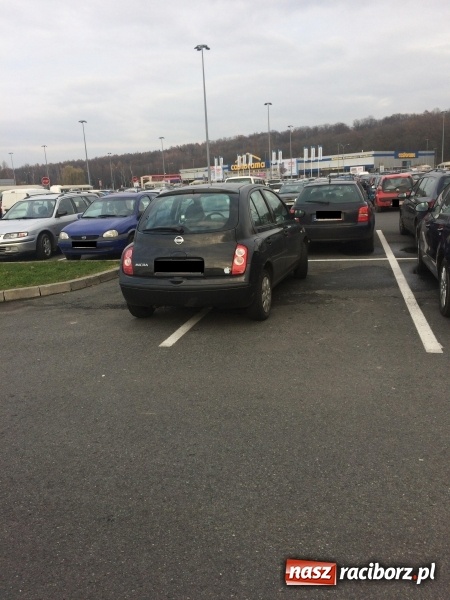 Zdjęcie w galerii na portalu naszraciborz.pl: Mistrzowie raciborskiego parkowania  wiadomości z regionu