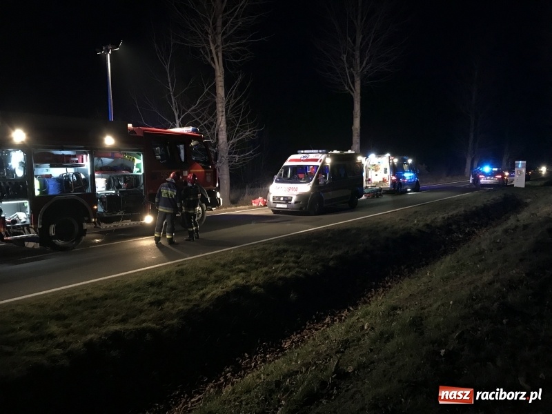 Zdjęcie w galerii na portalu naszraciborz.pl: Tragedia na drodze Racibórz Markowice-Babice. Opel uderzył w drzewo i stanął w płomieniach. Nie żyje 16-letnia dziewczyna wiadomości z regionu
