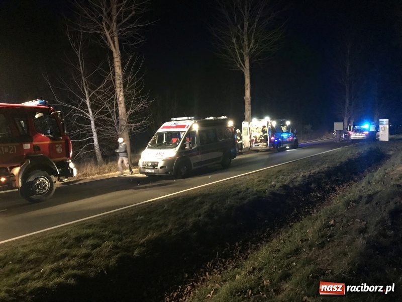 Zdjęcie w galerii na portalu naszraciborz.pl: Tragedia na drodze Racibórz Markowice-Babice. Opel uderzył w drzewo i stanął w płomieniach. Nie żyje 16-letnia dziewczyna wiadomości z regionu