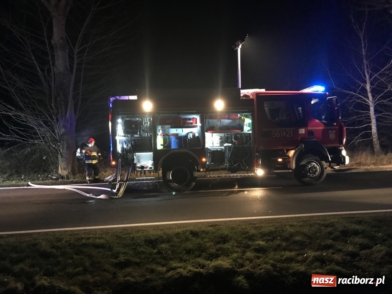 Zdjęcie w galerii na portalu naszraciborz.pl: Tragedia na drodze Racibórz Markowice-Babice. Opel uderzył w drzewo i stanął w płomieniach. Nie żyje 16-letnia dziewczyna wiadomości z regionu