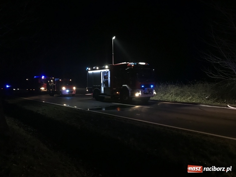 Zdjęcie w galerii na portalu naszraciborz.pl: Tragedia na drodze Racibórz Markowice-Babice. Opel uderzył w drzewo i stanął w płomieniach. Nie żyje 16-letnia dziewczyna wiadomości z regionu