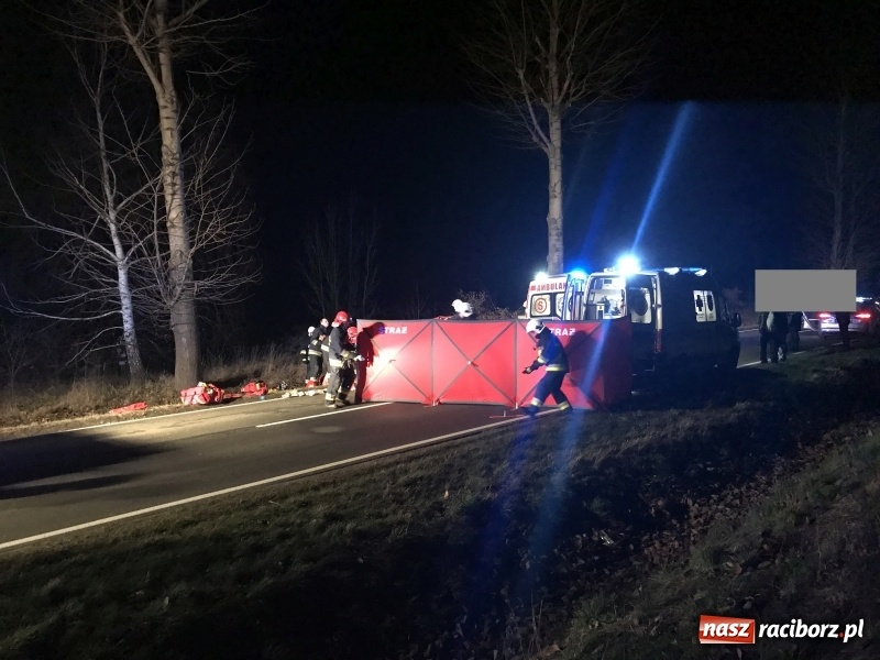 Zdjęcie w galerii na portalu naszraciborz.pl: Tragedia na drodze Racibórz Markowice-Babice. Opel uderzył w drzewo i stanął w płomieniach. Nie żyje 16-letnia dziewczyna wiadomości z regionu