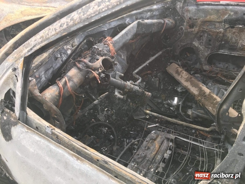 Zdjęcie w galerii na portalu naszraciborz.pl: Tragedia na drodze Racibórz Markowice-Babice. Opel uderzył w drzewo i stanął w płomieniach. Nie żyje 16-letnia dziewczyna wiadomości z regionu