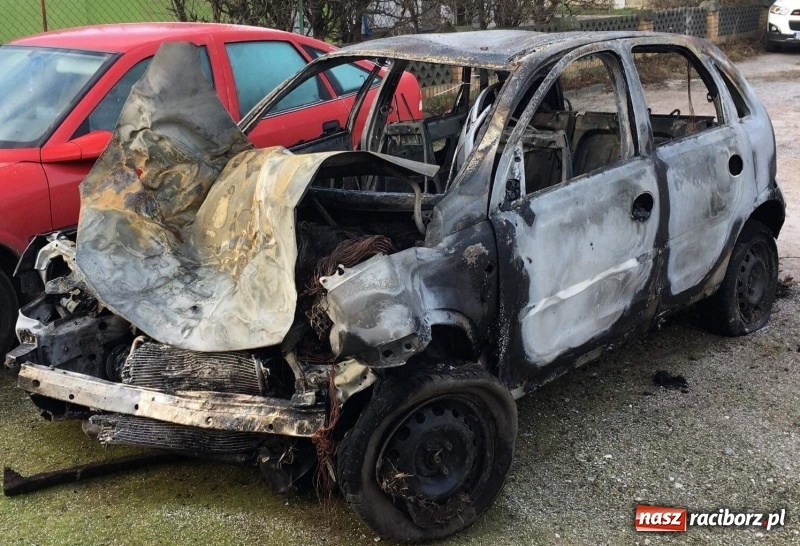 Zdjęcie w galerii na portalu naszraciborz.pl: Tragedia na drodze Racibórz Markowice-Babice. Opel uderzył w drzewo i stanął w płomieniach. Nie żyje 16-letnia dziewczyna wiadomości z regionu