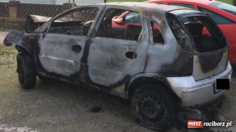 Zdjęcie w galerii na portalu naszraciborz.pl: Tragedia na drodze Racibórz Markowice-Babice. Opel uderzył w drzewo i stanął w płomieniach. Nie żyje 16-letnia dziewczyna wiadomości z regionu