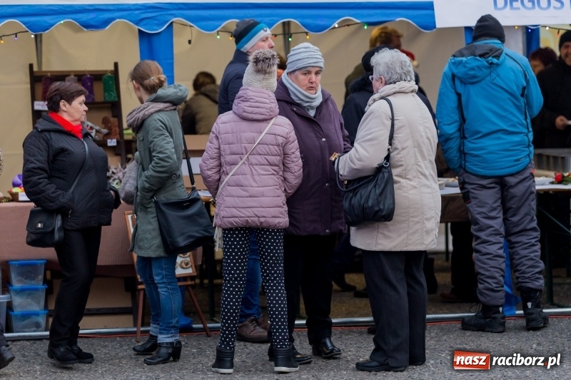 Zdjęcie w galerii na portalu naszraciborz.pl: Boże Narodzenie tuż tuż. Mieszkańcy Krzanowic rozświetlili choinkę na rynku FOTO i WIDEO wiadomości z regionu