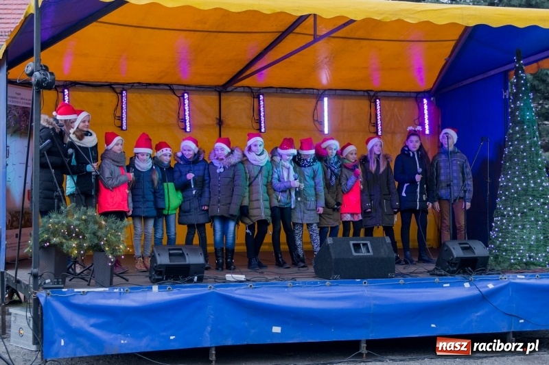 Zdjęcie w galerii na portalu naszraciborz.pl: Boże Narodzenie tuż tuż. Mieszkańcy Krzanowic rozświetlili choinkę na rynku FOTO i WIDEO wiadomości z regionu