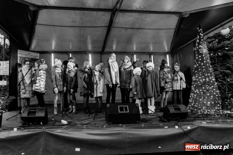 Zdjęcie w galerii na portalu naszraciborz.pl: Boże Narodzenie tuż tuż. Mieszkańcy Krzanowic rozświetlili choinkę na rynku FOTO i WIDEO wiadomości z regionu