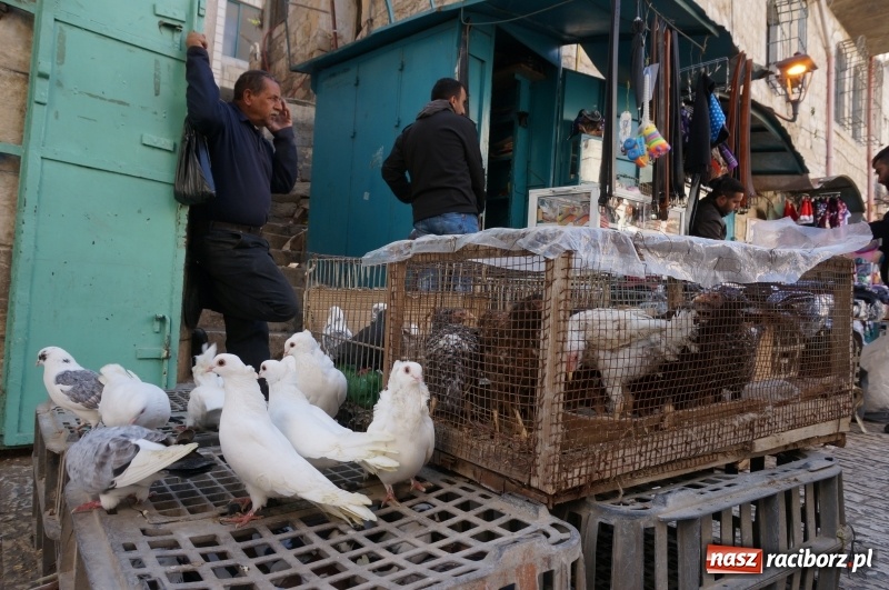 Zdjęcie w galerii na portalu naszraciborz.pl: Współczesne Betlejem. Miejsce, w którym wydarzył się cud wiadomości z regionu
