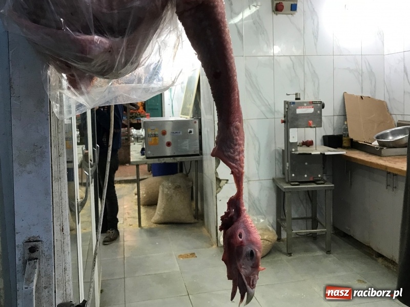 Zdjęcie w galerii na portalu naszraciborz.pl: Współczesne Betlejem. Miejsce, w którym wydarzył się cud wiadomości z regionu