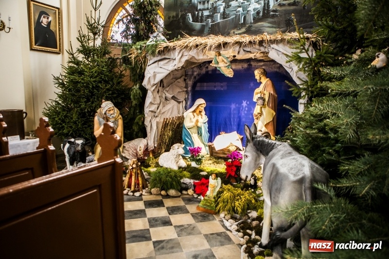 Zdjęcie w galerii na portalu naszraciborz.pl: Do szopy, hej pasterze, do szopy, bo tam cud! Zobaczcie raciborskie stajenki AD 2017 wiadomości z regionu