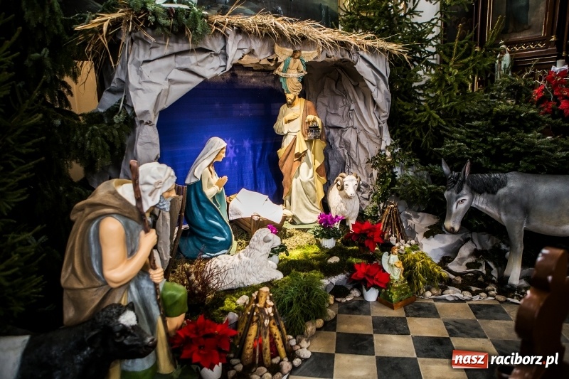 Zdjęcie w galerii na portalu naszraciborz.pl: Do szopy, hej pasterze, do szopy, bo tam cud! Zobaczcie raciborskie stajenki AD 2017 wiadomości z regionu