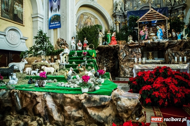 Zdjęcie w galerii na portalu naszraciborz.pl: Do szopy, hej pasterze, do szopy, bo tam cud! Zobaczcie raciborskie stajenki AD 2017 wiadomości z regionu