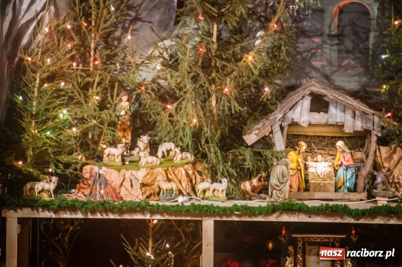 Zdjęcie w galerii na portalu naszraciborz.pl: Do szopy, hej pasterze, do szopy, bo tam cud! Zobaczcie raciborskie stajenki AD 2017 wiadomości z regionu