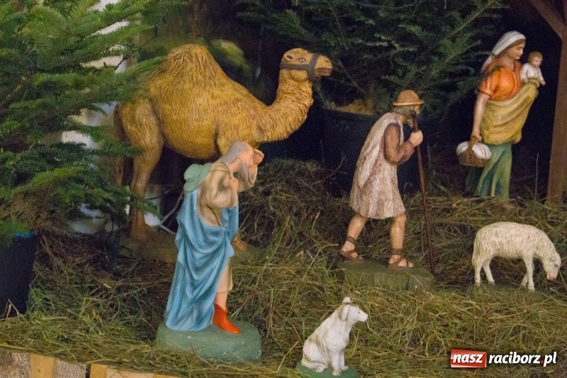 Zdjęcie w galerii na portalu naszraciborz.pl: Do szopy, hej pasterze, do szopy, bo tam cud! Zobaczcie raciborskie stajenki AD 2017 wiadomości z regionu