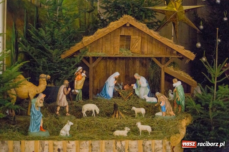 Zdjęcie w galerii na portalu naszraciborz.pl: Do szopy, hej pasterze, do szopy, bo tam cud! Zobaczcie raciborskie stajenki AD 2017 wiadomości z regionu