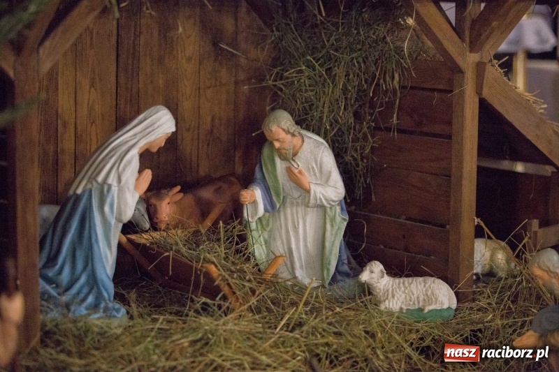 Zdjęcie w galerii na portalu naszraciborz.pl: Do szopy, hej pasterze, do szopy, bo tam cud! Zobaczcie raciborskie stajenki AD 2017 wiadomości z regionu