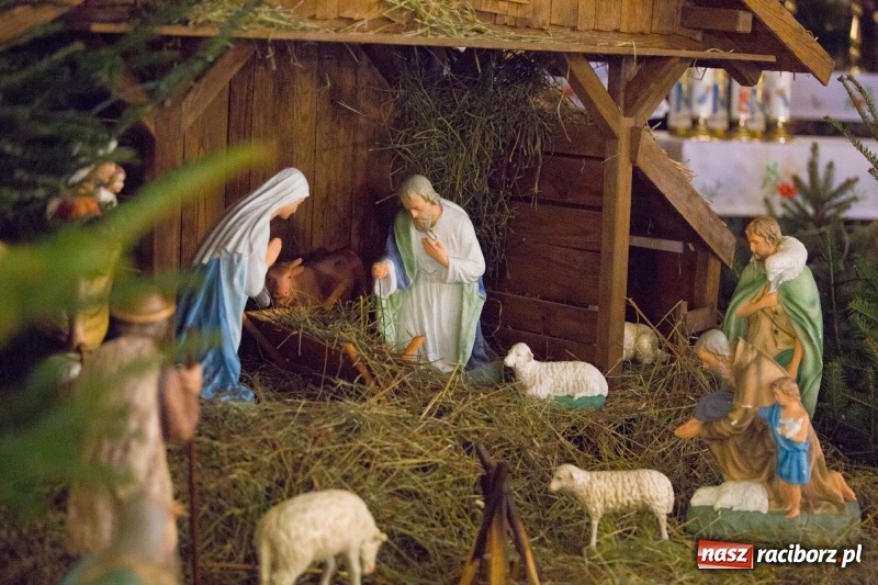 Zdjęcie w galerii na portalu naszraciborz.pl: Do szopy, hej pasterze, do szopy, bo tam cud! Zobaczcie raciborskie stajenki AD 2017 wiadomości z regionu