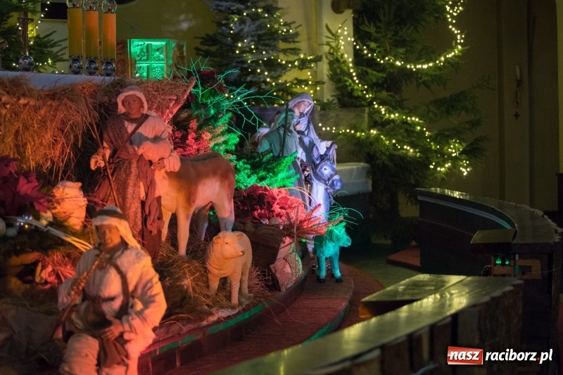 Zdjęcie w galerii na portalu naszraciborz.pl: Do szopy, hej pasterze, do szopy, bo tam cud! Zobaczcie raciborskie stajenki AD 2017 wiadomości z regionu