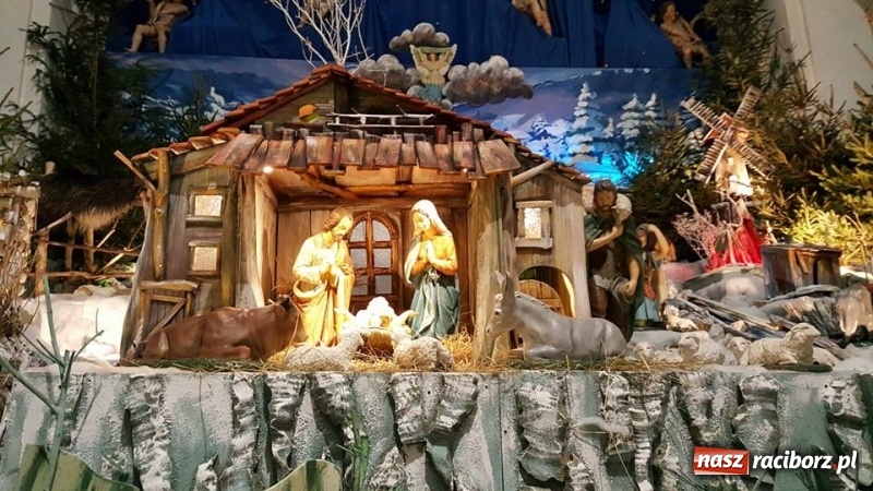 Zdjęcie w galerii na portalu naszraciborz.pl: Do szopy, hej pasterze, do szopy, bo tam cud! Zobaczcie raciborskie stajenki AD 2017 wiadomości z regionu