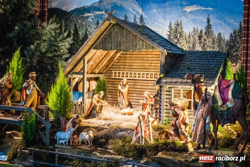 Zdjęcie w galerii na portalu naszraciborz.pl: Do szopy, hej pasterze, do szopy, bo tam cud! Zobaczcie raciborskie stajenki AD 2017 wiadomości z regionu