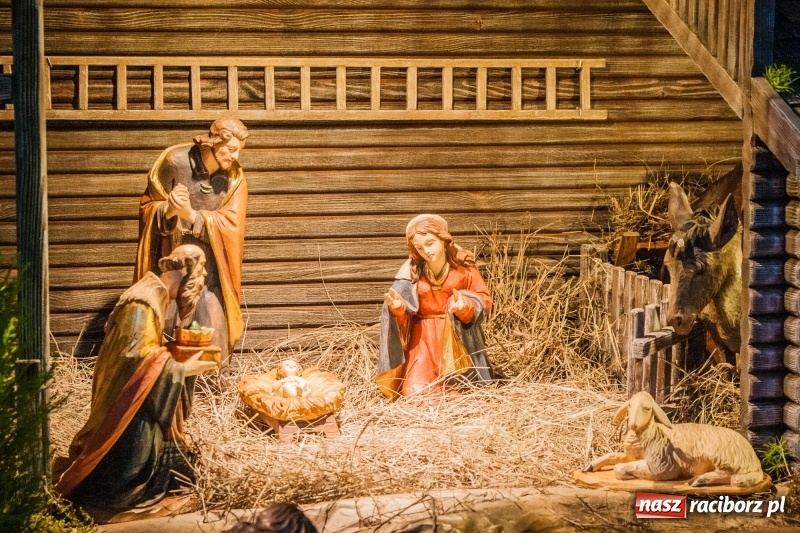 Zdjęcie w galerii na portalu naszraciborz.pl: Do szopy, hej pasterze, do szopy, bo tam cud! Zobaczcie raciborskie stajenki AD 2017 wiadomości z regionu