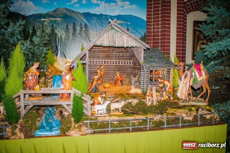 Zdjęcie w galerii na portalu naszraciborz.pl: Do szopy, hej pasterze, do szopy, bo tam cud! Zobaczcie raciborskie stajenki AD 2017 wiadomości z regionu