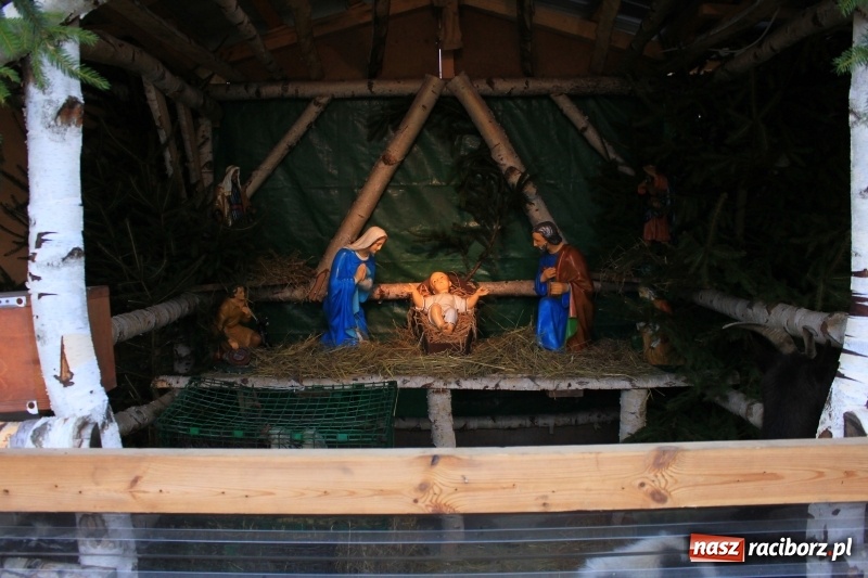 Zdjęcie w galerii na portalu naszraciborz.pl: Do szopy, hej pasterze, do szopy, bo tam cud! Zobaczcie raciborskie stajenki AD 2017 wiadomości z regionu