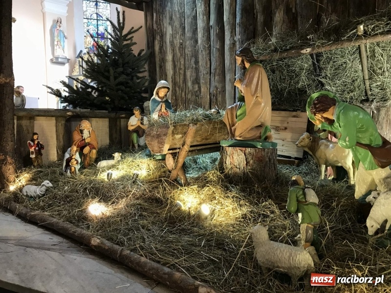 Zdjęcie w galerii na portalu naszraciborz.pl: Do szopy, hej pasterze, do szopy, bo tam cud! Zobaczcie raciborskie stajenki AD 2017 wiadomości z regionu