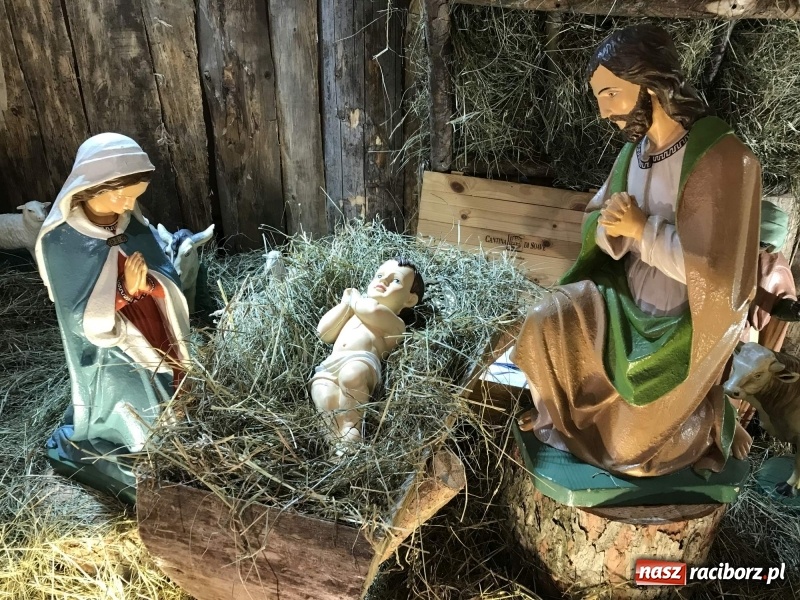Zdjęcie w galerii na portalu naszraciborz.pl: Do szopy, hej pasterze, do szopy, bo tam cud! Zobaczcie raciborskie stajenki AD 2017 wiadomości z regionu