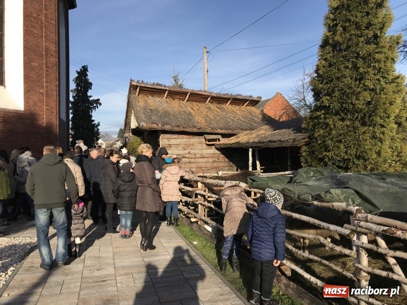 Zdjęcie w galerii na portalu naszraciborz.pl: Parafia Racibórz Brzezie kolęduje jak co roku przy żywej szopce wiadomości z regionu