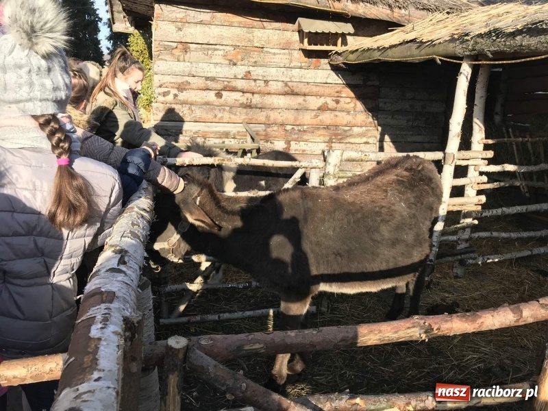 Zdjęcie w galerii na portalu naszraciborz.pl: Parafia Racibórz Brzezie kolęduje jak co roku przy żywej szopce wiadomości z regionu