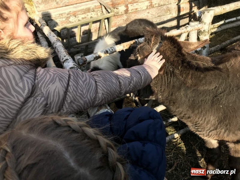 Zdjęcie w galerii na portalu naszraciborz.pl: Parafia Racibórz Brzezie kolęduje jak co roku przy żywej szopce wiadomości z regionu