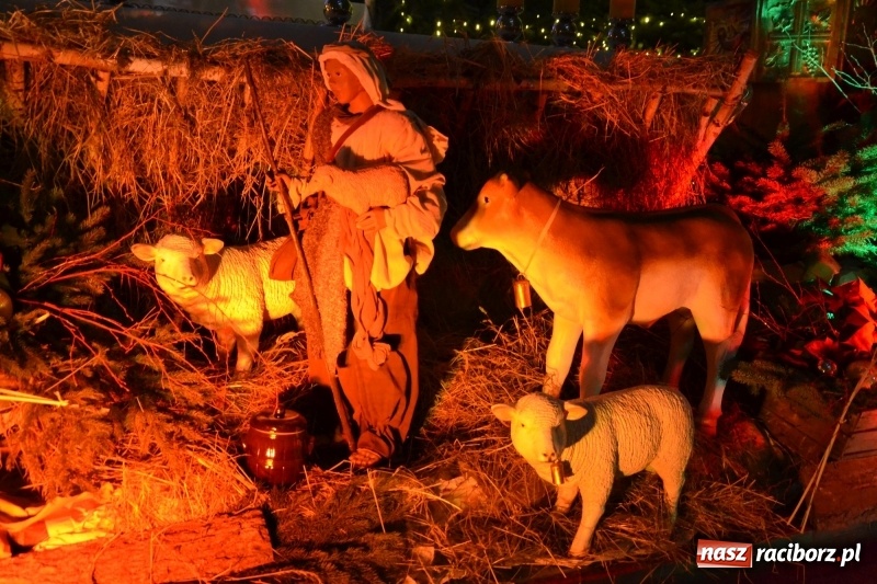 Zdjęcie w galerii na portalu naszraciborz.pl: Szopki na Starej Wsi i Nowych Zagrodach wiadomości z regionu