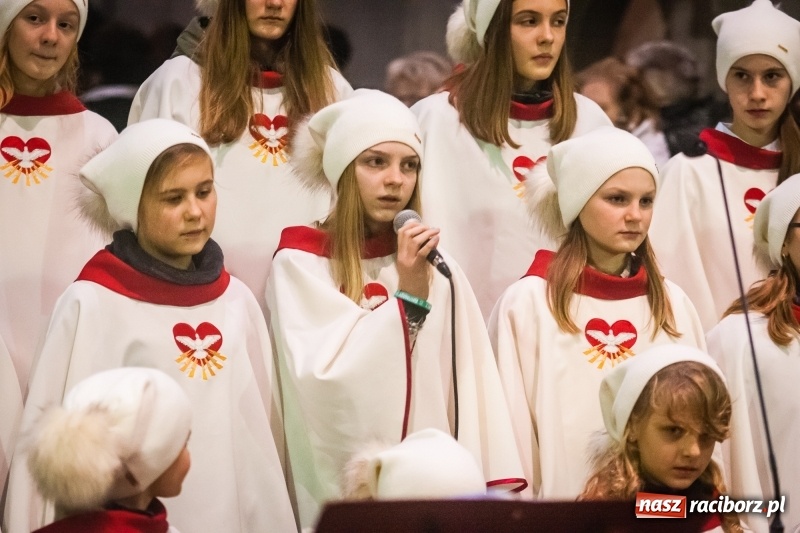 Zdjęcie w galerii na portalu naszraciborz.pl: W kościele farnym wybrzmiały kolędy i pastorałki wiadomości z regionu