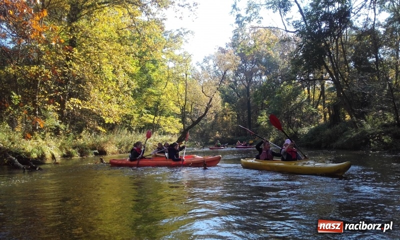 Zdjęcie w galerii na portalu naszraciborz.pl: W Rudach matematyka jest przyjemna wiadomości z regionu