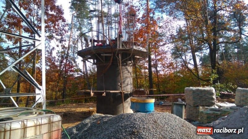 Zdjęcie w galerii na portalu naszraciborz.pl: Lasy raciborskie mają nową dostrzegalnię  wiadomości z regionu