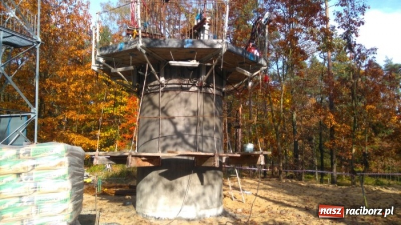 Zdjęcie w galerii na portalu naszraciborz.pl: Lasy raciborskie mają nową dostrzegalnię  wiadomości z regionu