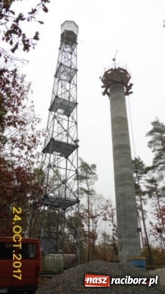 Zdjęcie w galerii na portalu naszraciborz.pl: Lasy raciborskie mają nową dostrzegalnię  wiadomości z regionu