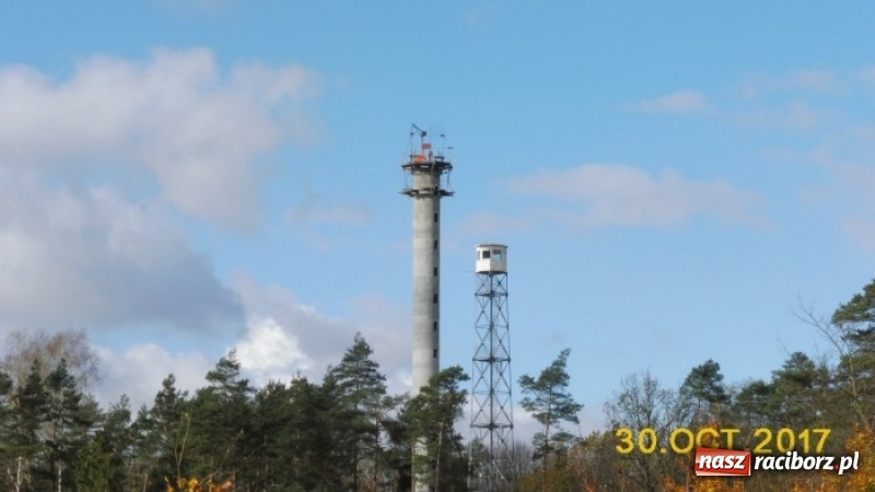 Zdjęcie w galerii na portalu naszraciborz.pl: Lasy raciborskie mają nową dostrzegalnię  wiadomości z regionu