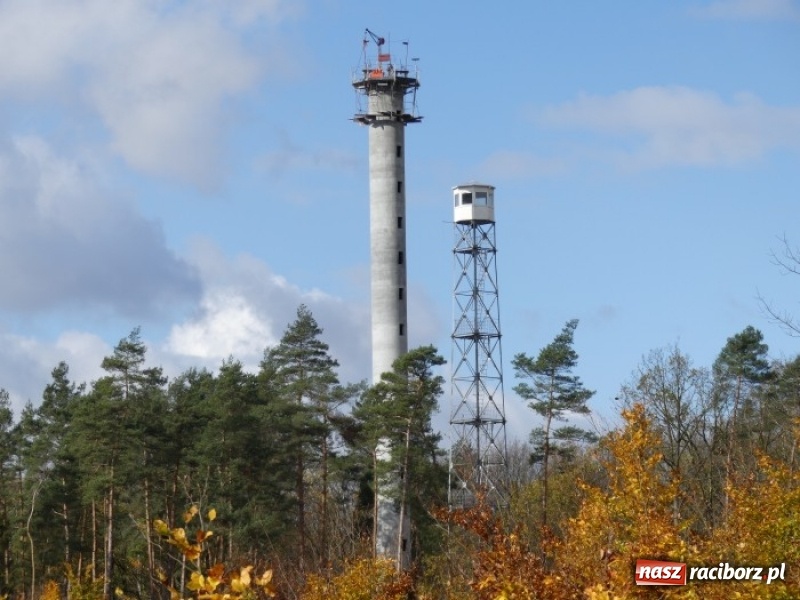 Zdjęcie w galerii na portalu naszraciborz.pl: Lasy raciborskie mają nową dostrzegalnię  wiadomości z regionu