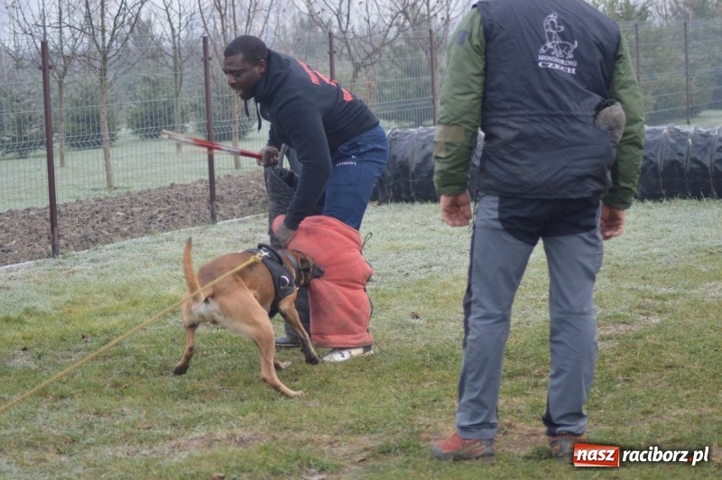 Zdjęcie w galerii na portalu naszraciborz.pl: Hervé Mavuanga - zaklinacz psich umysłów. Jeden z najlepszych trenerów na świecie szkolił w powiecie raciborskim wiadomości z regionu